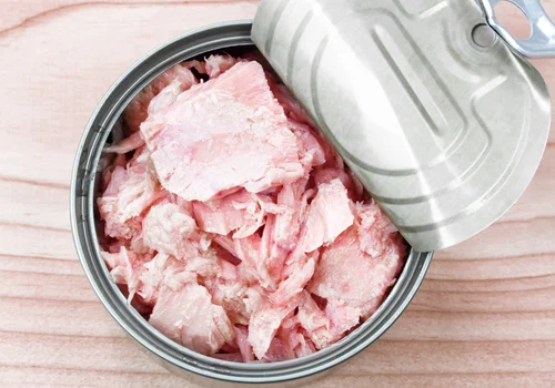 Światowy Dzień Tuńczyka: Ochrona i Zrównoważone Rybołówstwo