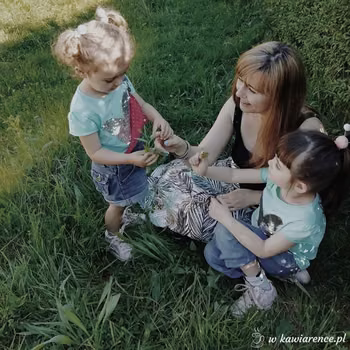 Jak złagodzić swędzenie po ugryzieniu komara?! – 13 domowych sposobów