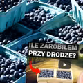 Ile można zarobić sprzedając jagody przy drodze? Znany YouTuber sprawdza!