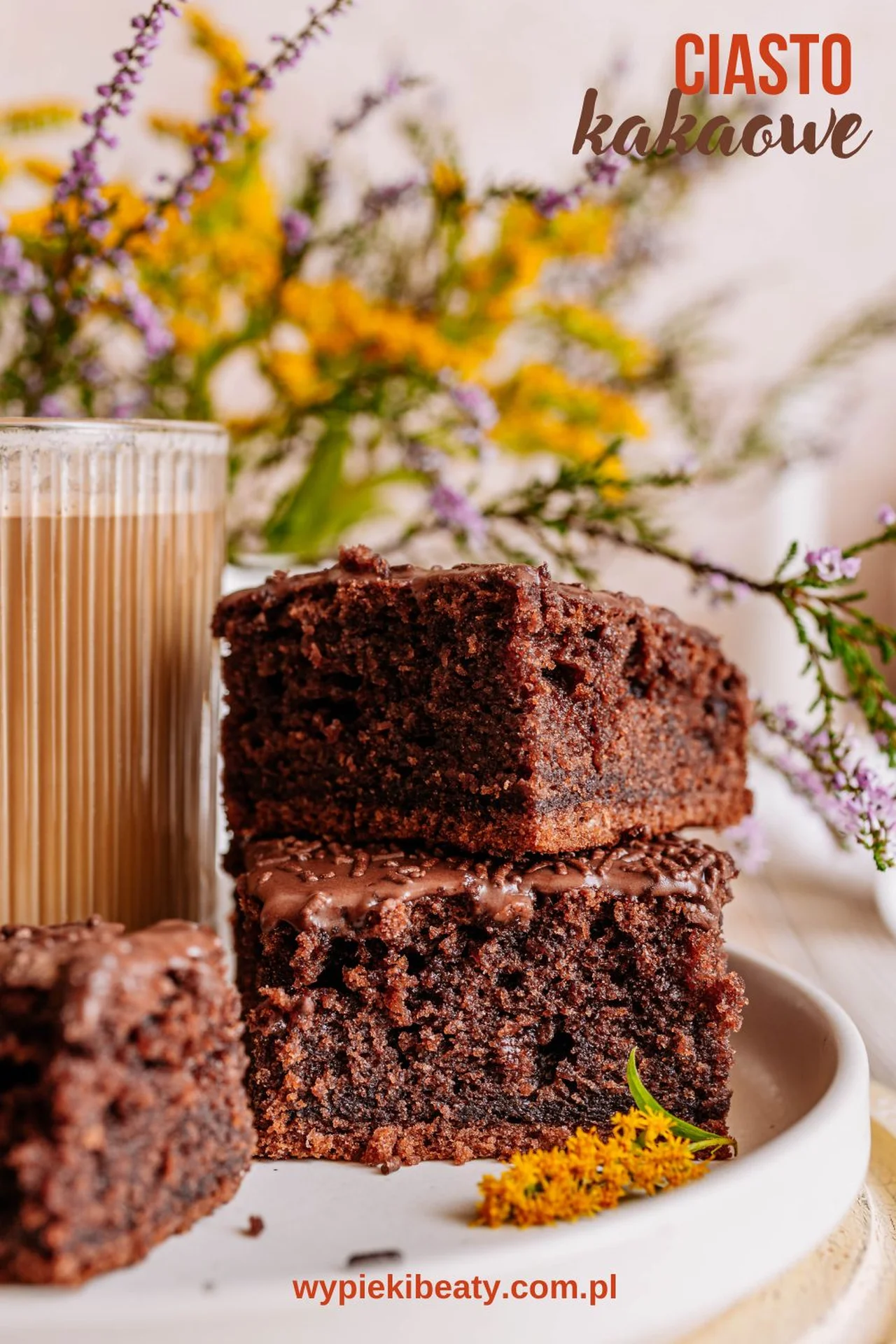 Kakaowe ciasto z lukrem