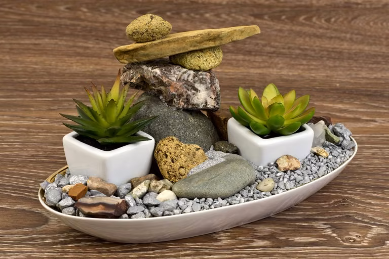 Miniaturowy ogród - bajkowa propozycja dla miłośników roślin