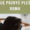Jak się pozbyć pleśni w domu