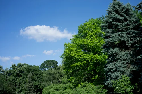 Międzynarodowy Dzień Czystego Powietrza dla Błękitnego Nieba: Dlaczego jest tak ważny?