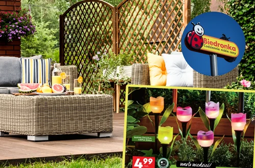 Kwiatowe cudeńka do ogrodu w Biedronce za 4,99 zł to HIT. Dają czadu bez użycia prądu!