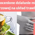 Nieocenione działanie mięty pieprzowej na układ trawienny