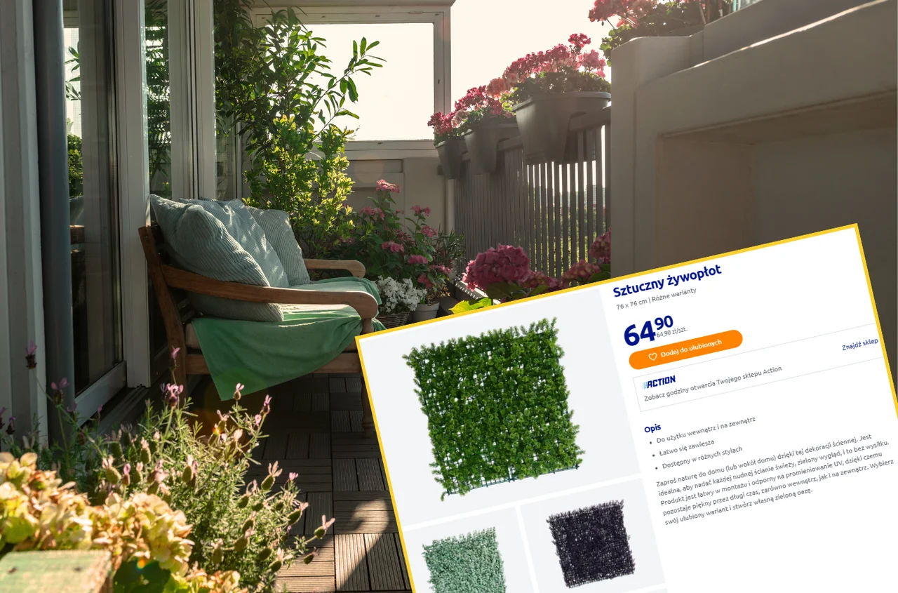 Te panele z Action totalnie odmienią balkon i wnętrze! Za 65 zł zielona oaza przez cały bez podlewania, a montaż to pikuś