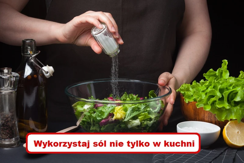 Zobacz do czego możesz wykorzystać SÓL