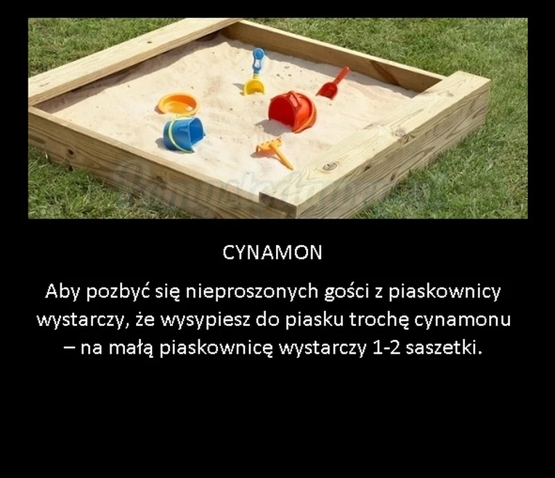 Zabezpiecz piaskownicę twojego dziecka przed robakami!