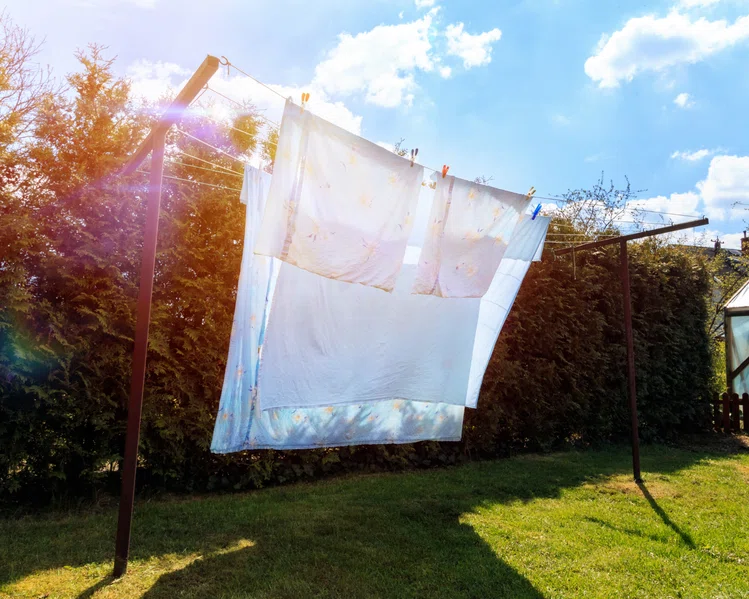 Zdjęcie Poznaj skuteczne sposoby na szybkie suszenie prania! #1