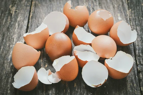 Zdjęcie 4 genialne zastosowania skorupek z jajek. Nigdy ich nie wyrzucaj! #1