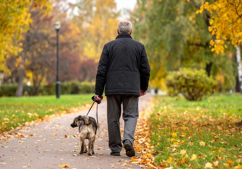 Cyfrowa rewolucja dla zwierząt? Rząd wprowadza PESEL dla psów i kotów!