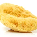 Jak przywrócić miękkość naturalnej gąbce?