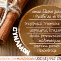 Cynamon - ciekawośtki
