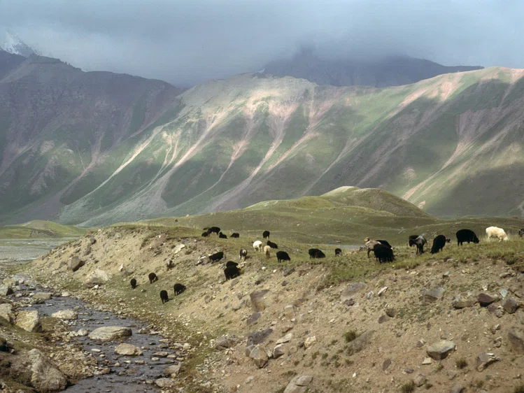 Zdjęcie Afganistan bogaty w surowce mineralne. Co się z nimi stanie? #1