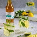 Free mojito (bezalkoholowe)