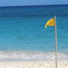Co oznaczają kolory flag na plaży? Musisz to wiedzieć, zanim pojedziesz na wakacje!