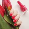 GOLDEN ROSE COLOR EXPERT NR 20