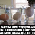 Trik na sprawdzenie świeżości jajek