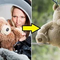 Pluszaki - jak często je pierzesz? Niektórzy nie robią tego w ogóle…