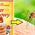 Cukier wanilinowy odstrasza komary! Sprawdź, jak go stosować