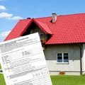 Deklaracja CEEB: Czy można złożyć ją po terminie? Czy można uniknąć grzywny?