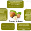Orzechy laskowe