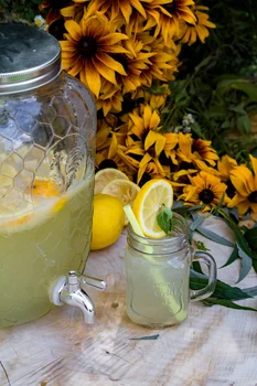 Lemoniada cytrynowa - Cytrynowa Babeczka