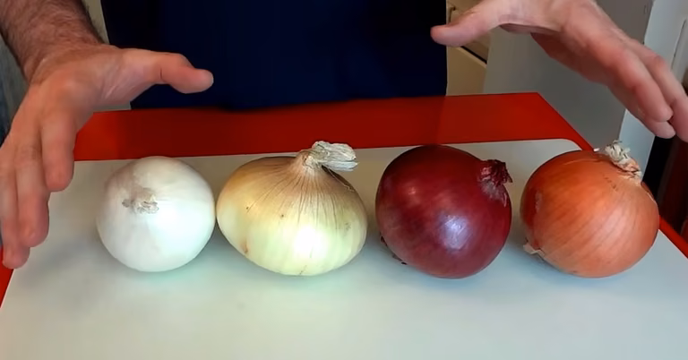 Cebula cebuli nierówna! Zobacz czym się różnią. Rodzaje cebuli i ich zastosowanie.