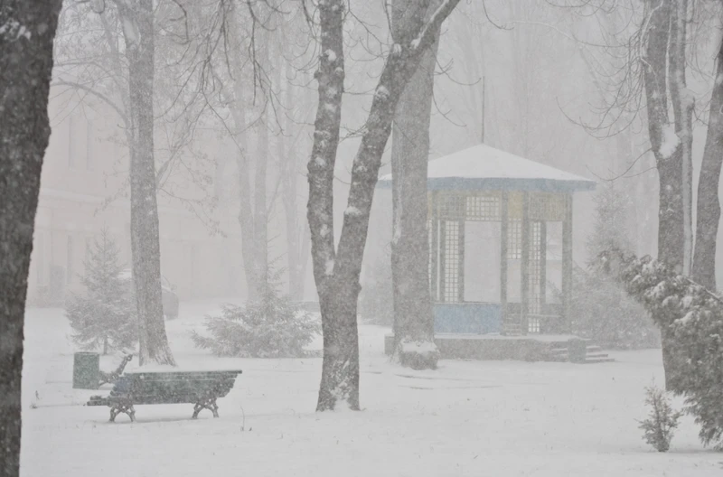Ekstremalny mróz i porywisty wiatr nad Polską! IMGW wydało pilne ostrzeżenia meteorologiczne!