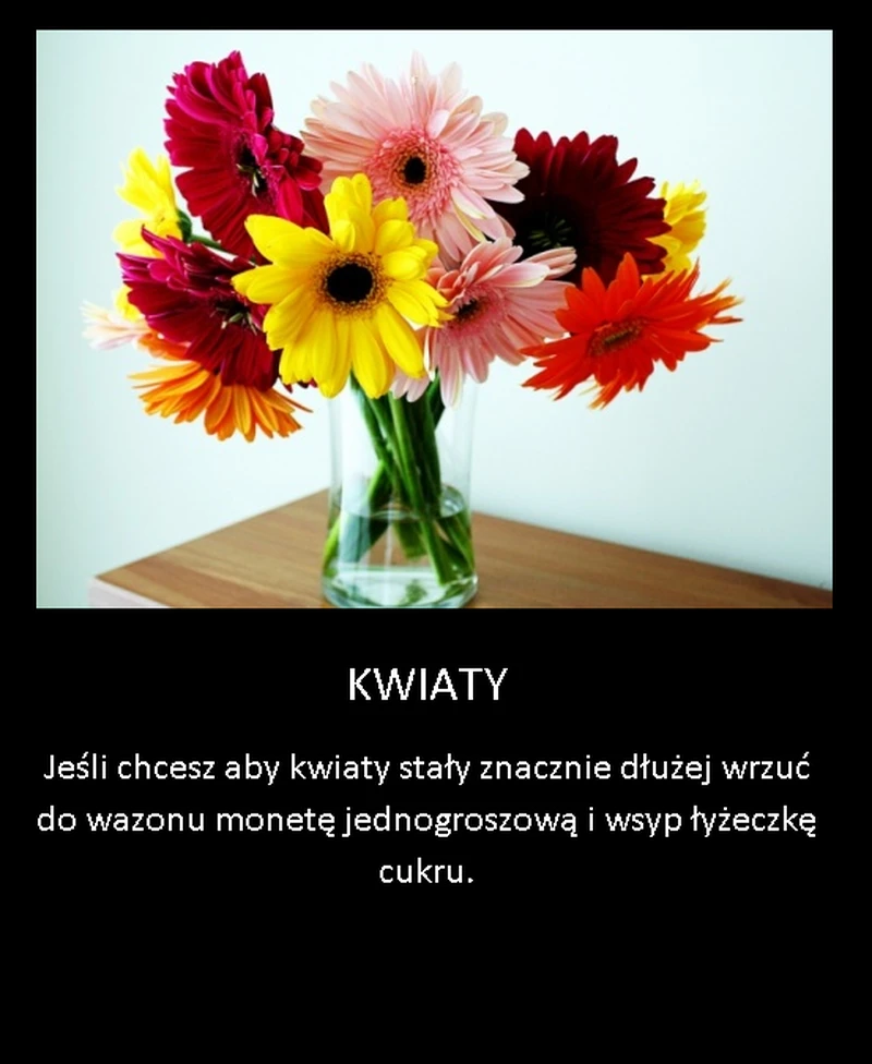 Sposób na długo stojące kwiaty w wazonie