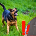 Policja ostrzega przed groźnymi psami! Takich przypadków jest coraz więcej