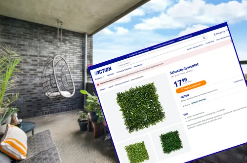 Ten żywopłot z Action za 17 zł bosko odmieni balkon! Zero podlewania - prywatna, zielona oaza przez cały rok