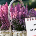 Kartka z kalendarza: 24 września - imieniny, gwiazdy, nietypowe święta! Odkryj sekrety tego dnia!