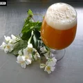 Domowe piwo RADLER z rokitnikiem