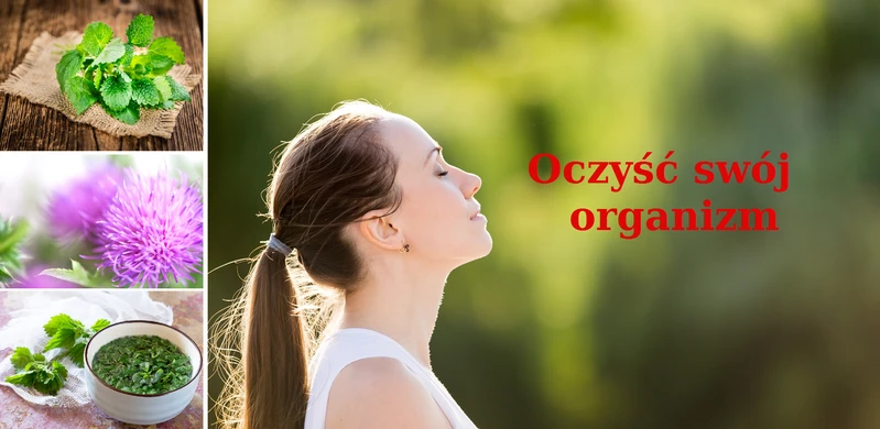 Pij napar z tych ZIÓŁ regularnie i oczyść swój organizm.