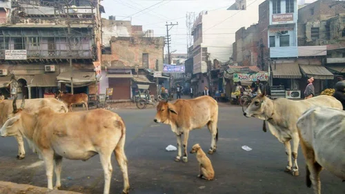 Hanna Myrcik – Indie to nie Bollywood