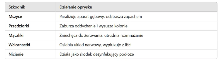 Zdjęcie Naturalny oprysk przeciw szkodnikom i wzmocnienie odporności roślin. Przepis na szybki wywar czosnkowy #1