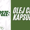 Co jest lepsze - olej CBD czy kapsułki CBD? Porównanie obu form suplementacji