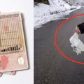 Wyrzucił papierek z samochodu i stracił prawo jazdy. Pech, czy głupota?