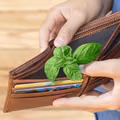 Ta jedna rzecz zmieni Twoje finanse! Włóż ją do portfela a nie pożałujesz!