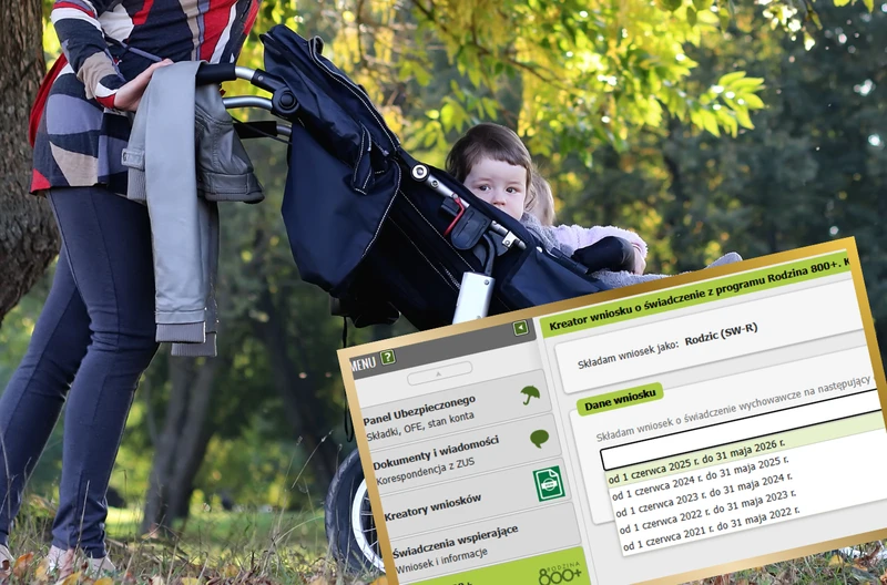 Jak złożyć wniosek o ciągłość 800 plus w 2025! Kluczowe jest zaznaczenie tej daty [instrukcja]