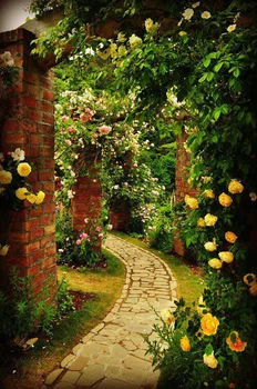 Piękna ścieżka w ogrodzie