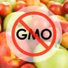Jak rozpoznać owoce GMO?