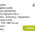 Co to jest CBG? Kannabigerol to perspektywa na przyszłość