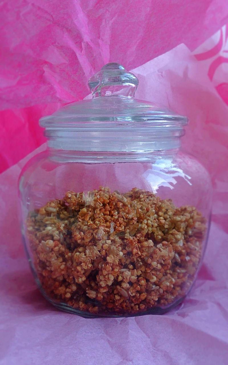 Bezglutenowa granola kokosowa