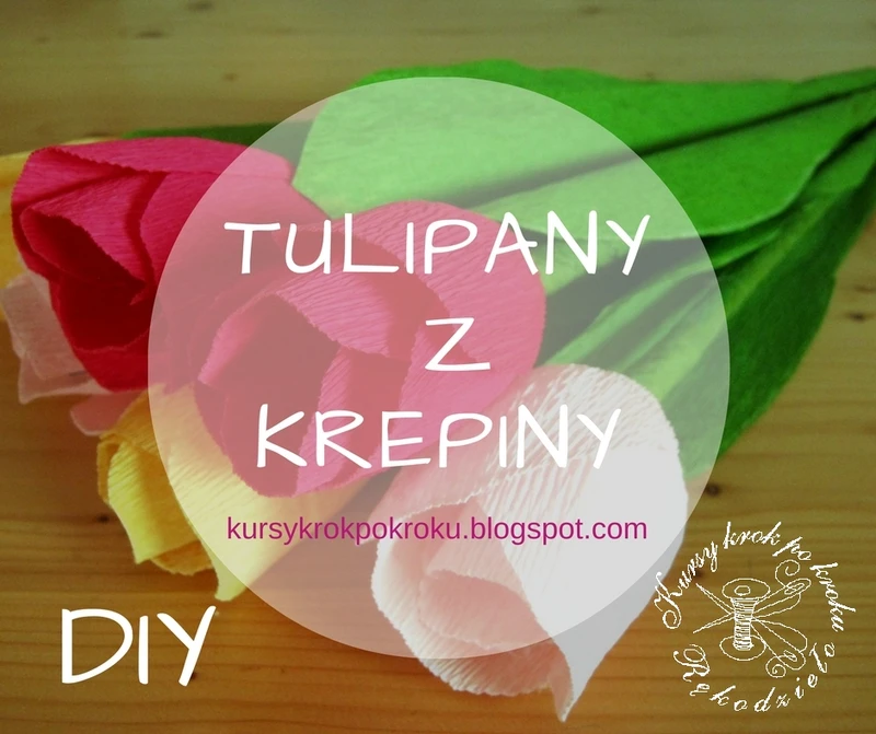 Tulipany z krepiny i bibuły - kurs krok po kroku