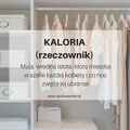Jak obliczyć zapotrzebowanie kaloryczne?