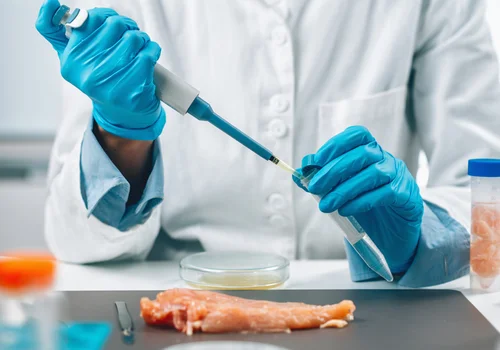 Salmonella w polędwiczkach z kurczaka jogurt-morela: co musisz wiedzieć, by chronić rodzinę