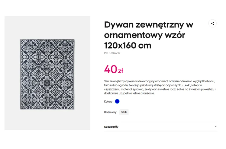 Zdjęcie Ten dywan z Pepco za 40 zł odmieni nudny balkon i taras! Duży i na każdą pogodę, a oryginalny wzór przyciąga uwagę #1
