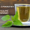 Herbatka z pokrzywy-warto ją pić nawet codziennie